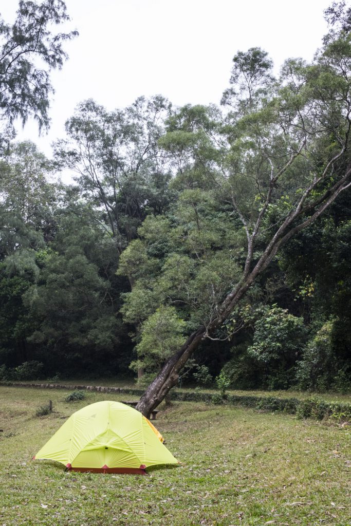 我們在營地的正中間位置開營，與樹為鄰