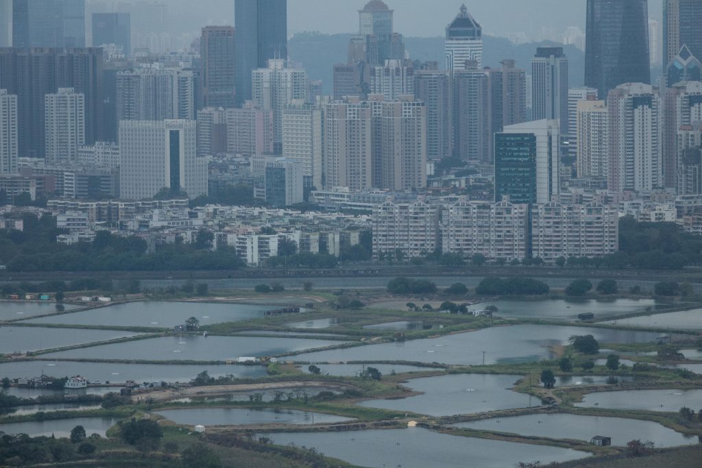 幾十年前，深圳是一片田野，今時今日，香港新界仍舊是郊野濕地。這是十年河東，十年河西的最佳演繹