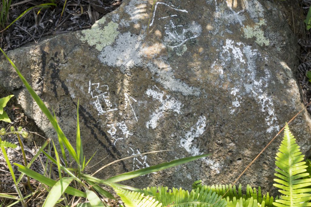 往龜頭嶺山頂小路旁邊，有前人在石塊寫上了「龜頭嶺」