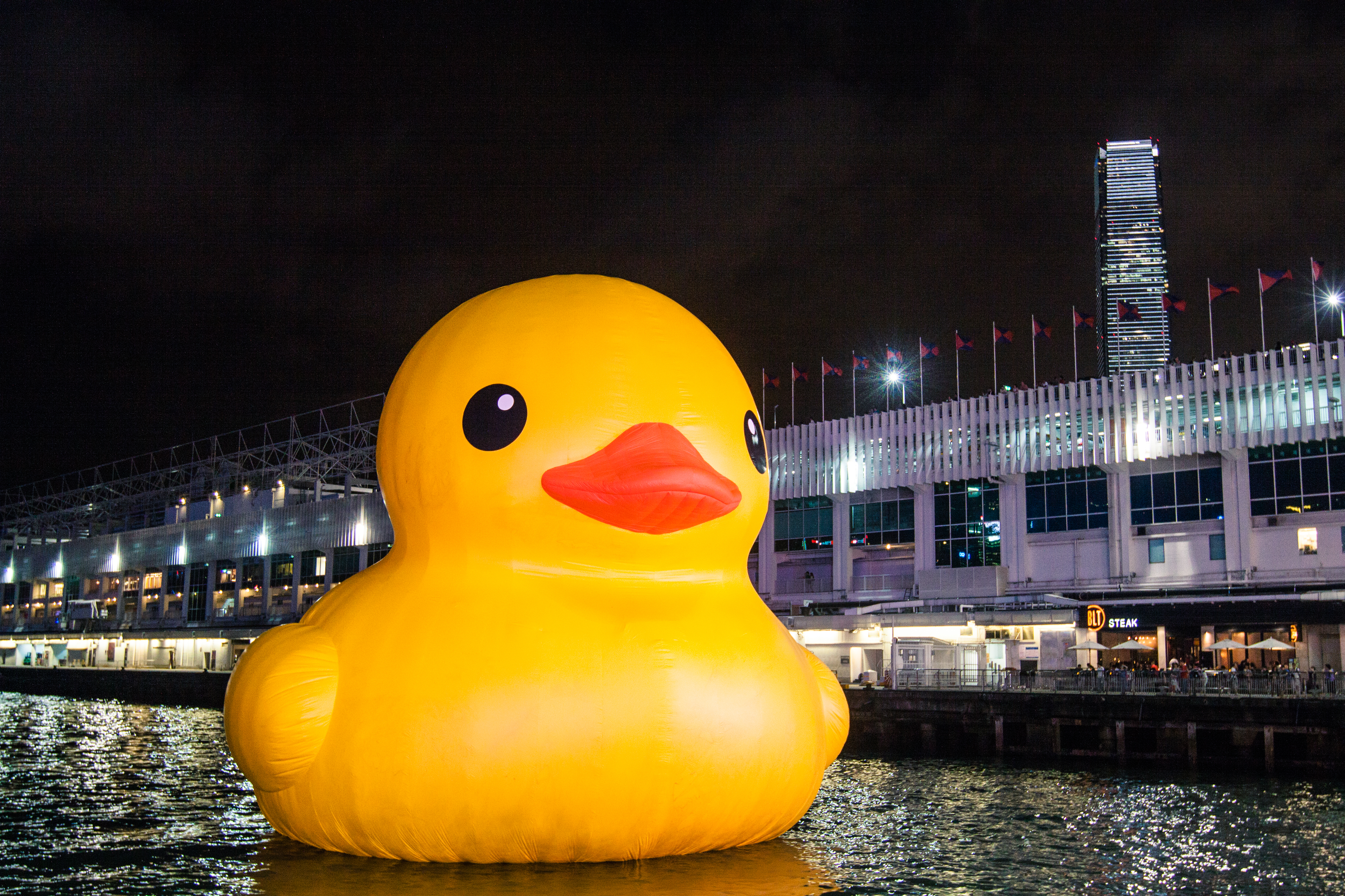 黃色巨鴨登陸香江是2013年最快樂的事! | 訪談黃色巨鴨 Rubber Duck 專頁管理人 Wincy